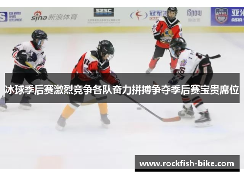 冰球季后赛激烈竞争各队奋力拼搏争夺季后赛宝贵席位