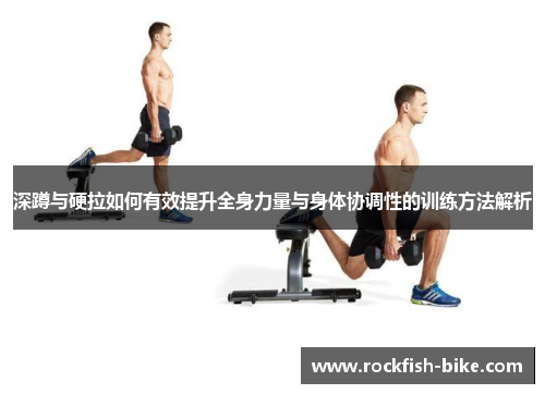 深蹲与硬拉如何有效提升全身力量与身体协调性的训练方法解析