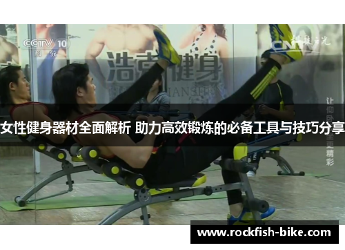 女性健身器材全面解析 助力高效锻炼的必备工具与技巧分享