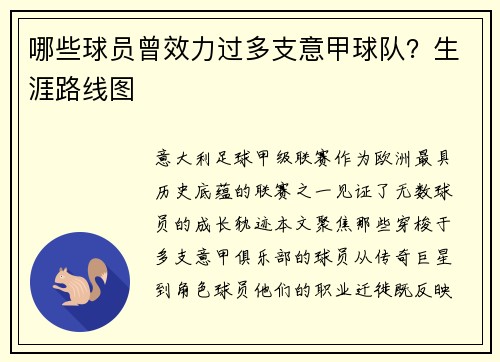 哪些球员曾效力过多支意甲球队？生涯路线图