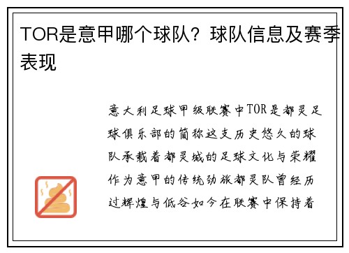 TOR是意甲哪个球队？球队信息及赛季表现