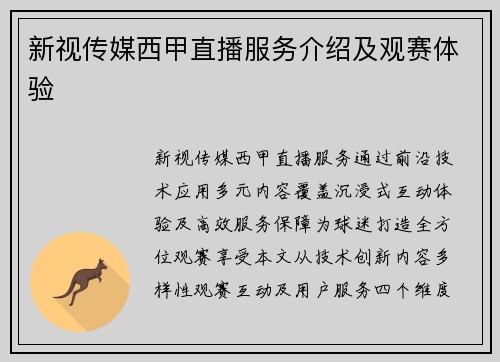 新视传媒西甲直播服务介绍及观赛体验