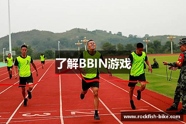 了解BBIN游戏